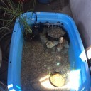 土曜の出勤日