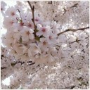 今日も今日とて