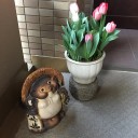 平成３０年度がスタート