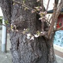 気がつけば