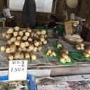 筍を買うため大山崎まで