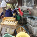 筍を買うため大山崎まで