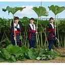 「うそばかり ついていると、どうなるか かんがえてみよう」。　（中JUMP）
