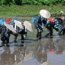 我々の暮らしには１ｍｍも役に立たない消費税。／民間会社がやれば詐欺、国がやると精神論で誤魔化せる。　（未sin）