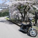 昨日に続き