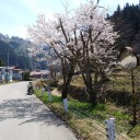 昨日に続き