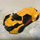 サムライが定着してきた