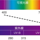 【 太陽光に 】 あたってはいけない。／放射性物質オゾン層を破壊⇒【 Ｘ 線 に近い紫外線 】地表到達／世界中が雹嵐／「素数ゼミ」で大発見。　（未OTL）