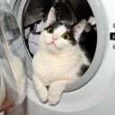 【 劣化ウラン弾 】永久に禁止すべきだ。／「部隊全滅」死を覚悟／ 「国民に真実知ってほしい」⇒南スーダン証言、政府説明と落差。　（未OTL）