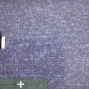 コレはもしや…？