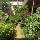 ５月は新緑が美しい