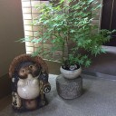 ５月は新緑が美しい