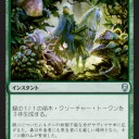 黒緑苗木で不滅の太陽を使う