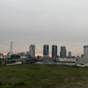 体感型