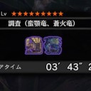 MHW30