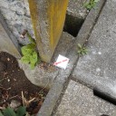 境界標が見当たらない