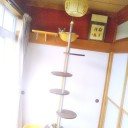 6月29日の日記