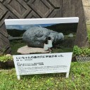 宇宙