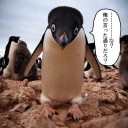 秘封ナイトメアダイアリー バレスレ待機 その１７ 夢の東方タッグ編ｗｗｗｗｗｗｗｗｗｗｗｗｗｗｗｗｗｗｗｗｗｗｗｗｗｗｗｗｗｗｗｗｗｗｗｗｗｗｗ