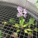 手作り石鹸カッターの注文