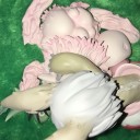 ナナチ&ミーティ