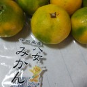 秋の行楽のお供