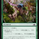 ラヴニカの新種昆虫（と、未採集の昆虫カードまとめ）