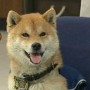 こんな犬クリーチャーを今まで見逃していたとは……何たる不覚かッッッ！！！