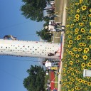 山口ゆめ花博