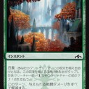 ブードラのゴルガリは多色補助でスルゥタイ～５Cにする方が強いな