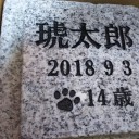 気持ちの良い秋晴れとなり