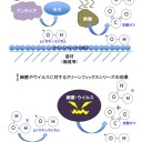 環境対応型新触媒クリーンフィックス