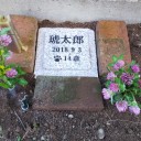 今日は