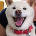 今日は