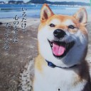 今年も