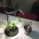 植物育成用LED照明スタンド