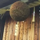 11月の歩こう会　伏見街歩き