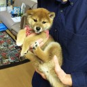 12月としては