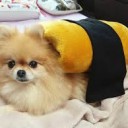 美味しそうな、お〇んこの画像うｐ