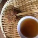 「病気:すぐ治る」