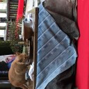 12/1 いろり山賊