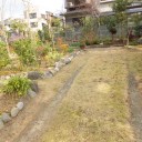 冬枯れの庭