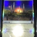 久々のカメクラ