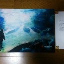 今年の運は使いきったのか…。