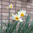 ９連休２日目