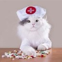 My son came down with the flu even after getting a flu shot. ②