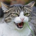 I want to vent my anger on someone.!!!