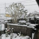 まっしろけ!!