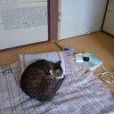 絶対忘れない♪