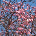 明日から３月・・・